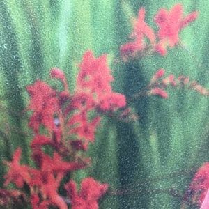 Meet your Posher, Joy